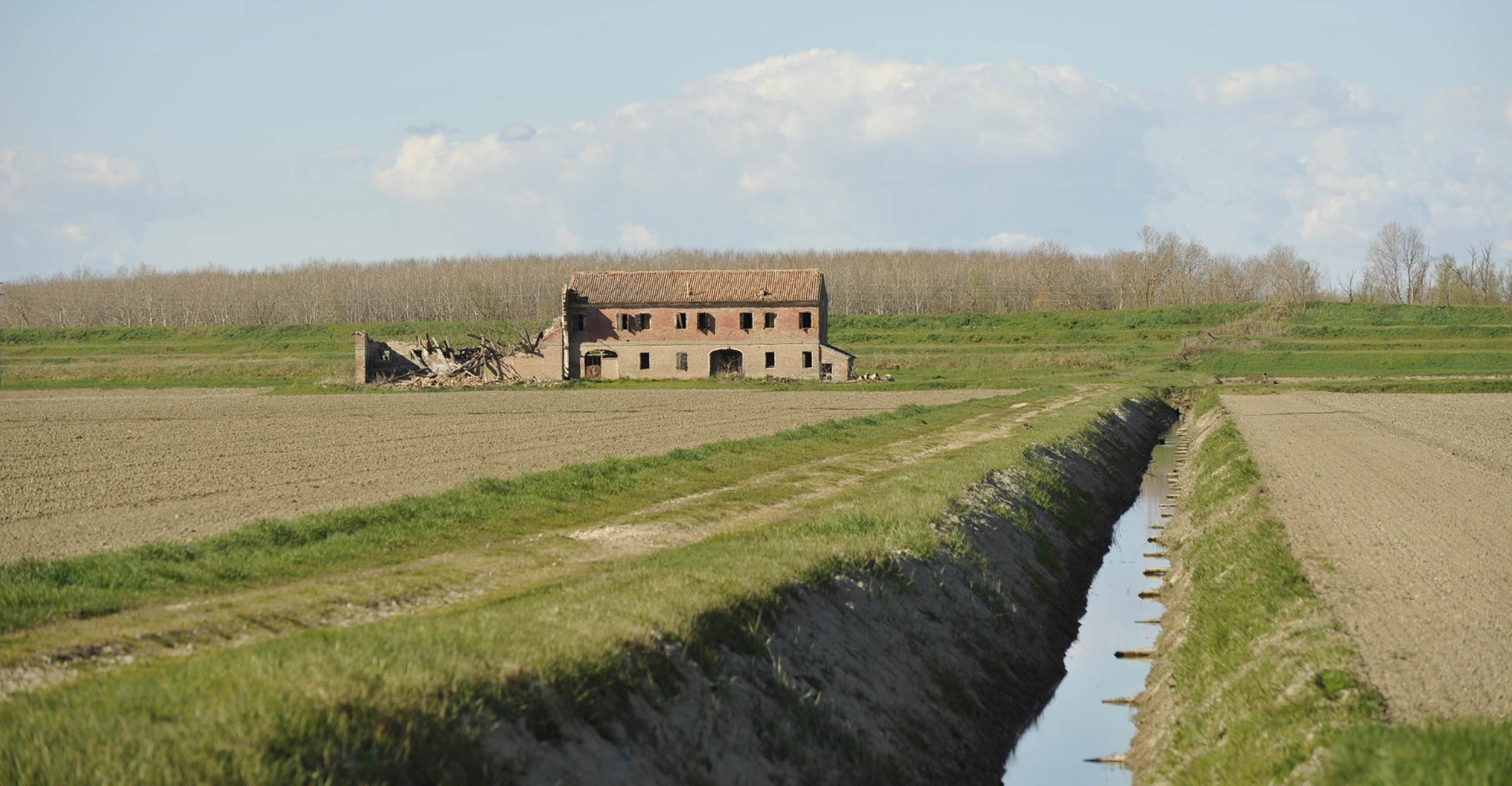 Acqua e mangimi: scopriamo l’importanza delle pratiche di irrigazione sostenibile